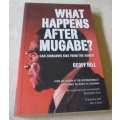 WHAT HAPPENS AFTER MUGABE ? - CAN ZIMBABWE RISE FROM THE ASHES - GEOFF HILL