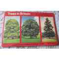 TREES IN BRITAIN  - BROOKE BOND TEA - PICTURE CARDS ALBUM - COMPLETE