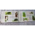 TREES IN BRITAIN  - BROOKE BOND TEA - PICTURE CARDS ALBUM - COMPLETE