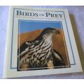 SOUTHERN AFRICAN BIRDS OF PREY - PETER AND BEVERLEY PICKFORD & WARWICK TARBOTON