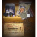 Psychic Pinto Oracle Cards - Tarot Deck - Practical & Understandable guidance to any question
