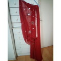 Stunning red indian sari