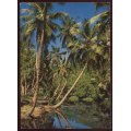 Seychelles - Post card - Used