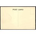 Ireland - Post Card - Unused