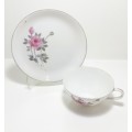 Japanese Fine Porcelain Vintage 1950`s Hayasi Kutani Tea Cup And Tea Plate Pattern 5788