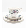 Queen Anne Bone China (Ridgway Potteries Ltd) Tea Trio (Cup, Saucer, Tea Plate) Pattern Unknown