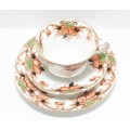 1912-1914 Antique Royal Stafford China Thomas Poole Longton, Fine Porcelain Tea Trio  Pattern 3502