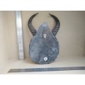 Springbok Skull Cap On Slate Stone Shield
