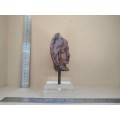 Vintage! Clay Sculpture - After Ancient Greek Hellenistic Female Head - Aphrodite?