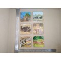 Animals Of Africa - Set Of Six Coasters With Cork Backing