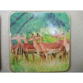 Animals Of Africa - Set Of Six Coasters With Cork Backing