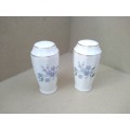 Vintage! England - Royal Adderley - Fine Bone China - Salt Pepper Floral Shakers