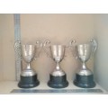 Vintage! Silver Plated - Prestige Awards - Classic Trophy Cups (Engraved)