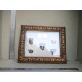 African! Wall Décor - Box Frame - Africa Alive - Big 5 Miniature Heads In Bronze - White