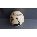 Vintage! Painted Ostrich Egg With Stand - Oudtshoorn South Africa.