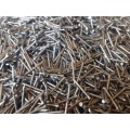 Lot of 3KG`s of 1.5 cm finishing nails