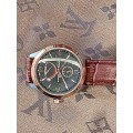 Timex automatic mens watch
