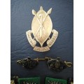 Rhodesian African Rifles Grouping of Badges-Cap Badge Firmin of London