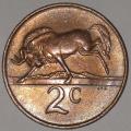 1984 - 2 CENT COIN (TWO CENT COIN) - RSA - BRONZE - KM#83 - BILINGUAL LEGEND - WILDEBEEST