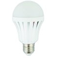 NEW Smart LED Bulb Light, Works on Power cuts, In Water, In your Hand, Regular AC, Emergency DC
