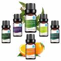 Pure 6Flavor 10ML/Box EssentialOils Natural Aromatherapy Oils Choose Fragrance Aroma Flower each R30