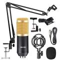 professional studio broadcasting and recording condenser microphon