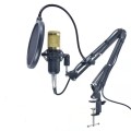 professional studio broadcasting and recording condenser microphon