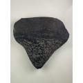 LARGE SHARK MEGALODON TOOTH - 7cm by 7cm -
