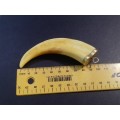 `GAME COLLECTORS` 9CT Yellow Gold `WARTHOG TUSK` Key Holder