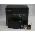 Sony RX100 Digital Camera with case
