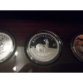 2017 Krugerrand Coin Series (Unique Set)