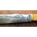 EPNS  'BONE' FORK AND BUTTER KNIVES X 10. ENGLAND. KNIVES APP. 20 CMS LONG