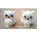 `OWL` Salt and Pepper shakers porcelain vintage app.5 cms high