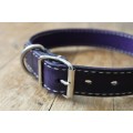 High Quality Leather Dog Collar Purple (Large)
