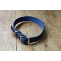 High Quality Leather Dog Collar Brilliant Blue (medium)