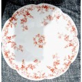 Collectable The Foley China Individual Plate  23cm x 23cm