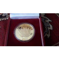 2004  1 OUNCE 24 ct GOLD  2004  PROTEA 10 YEAR OF DEMOCRACY COIN