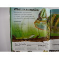 Discover More Reptiles- Scholastic