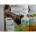 Discover More Reptiles- Scholastic