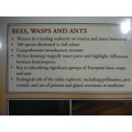 Bees, Wasps And Ants by J. Zahradnik ( A Field Guide to The World`s Hymenoptera)