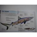 Pocket Eyewitness Sharks: Facts at Your Fingertips(DK Book)