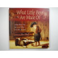 What Little Boys Are Made of: Loving Who They Are and Who They Will Become (HARDCOVER)
