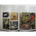 Everyone`s Guide to South African Birds - Hardcover - John Sinclair