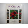The New Plant Library : Fuchsias