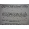 The Celestine Prophecy : An Experiential Guide - Paperback - James Redfield