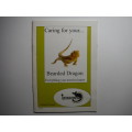 Caring for Your Bearded Dragon : Everything You Need to Know - Softcover Booklet - Gerhard Vermaak