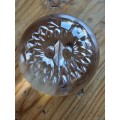 A Stunning Oval Glass "Owl" Paperweight!!