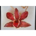 24k Gold Plated Real Orchid Necklace/Brooch