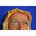 Vintage Bossons Chalkware Character Head - The Syrian