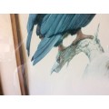 Eagle Print Framed Behind Glass